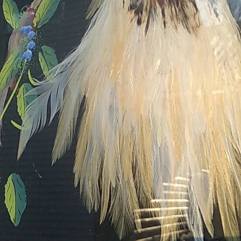 Vintage PEACOCK Framed ART Bird Distressed Wood FRAME 🖼️ 19